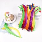 Natural Rooster Tail Feathers 50pcs 10-12inch Long Rooster Coque Tail Feathers B