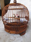 Vintage Bamboo Wood Hanging Bird Cage W 2 Porcelain Feeders