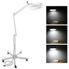5x Magnifying Glass With Light And Stand  Magnifying Floor Lamp