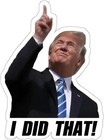 100pc Trump I Did That Stickers  Gas Pump Stickers  High Quality Vinyl  new Usa 