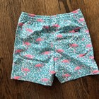 Nwt Chubbies Little Boys Sz 5 Mini Mingos Swim Trunk - Match Dad And Brothers 