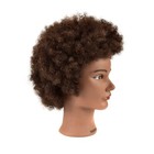 Afro Mannequin Head 100  Human Hair Head Hairdresser African American Training