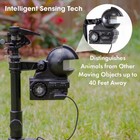 Orbit Yard Enforcer 62100 Motion Activated Sprinkler W  Day   Night Modes