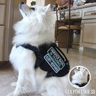 Tactical Dog Harness puppy Harness With Handle  Military Vest For Small Dogs    