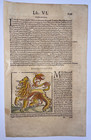 Lion In Africa 1558 Sebastian Munster Antique Engraved Plate 16th Century