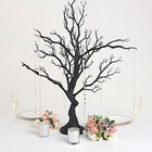 34  Black Manzanita Tree With Garlands Wedding Party Centerpieces