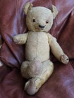Chad Valley 1930 Label 20   50cm  Mohair Magna Teddy Bear  uri  Glass Eyes