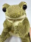 Folkmanis Funny Frog Hand Puppet Brand New With Tags