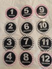 Baby Milestone Stickers Set Of 2 From 1 Month To 1 Year Pink Gray Multi