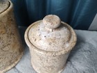 2 Fossilized Coral Stone Canister Made With Ancient Marine Fossils 8 5    6 5  T
