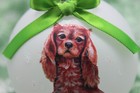 D184 Hand-made Christmas Ornament Dog Cavalier King Charles Spaniel Ruby  lt Gre