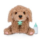 Little Live Pets My Really Real Puppy - Curley The Cavoodle