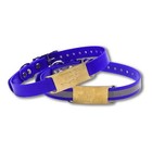 Custom Brass Slide-on Dog Collar Tag Name Plates For 3 4  Collars