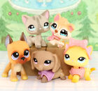 5pcs Pet Shop Lps Dogs Cats Collectable With Accessories Kids Gift Bobble Head