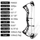 30-70lbs Compound Bow 320fps 21 -30  Cnc Archery Arrows Hunting Target Package