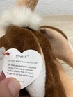 Vtg 1997 Ty Beanie Babies Stretch The Ostrich Plush Toy With Tag