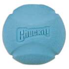 Chuckit  Fetch Ball Dog Toy