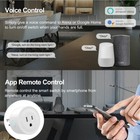 Tuya Wifi Smart Plug 20a With Power Monitor Us Outlet Timer Work With Alexa