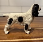 1950s Vintage Ceramic Springer Spaniel Unknown Hallmark