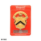 Wentworth Military Academy   School   Large Cap Device   Vanguard Usa   New