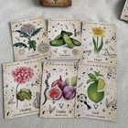 Green Witch Oracle Card Deck Tarot Gardening Botanical Magick Cheralyn Darcey