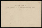 British India Old Picture Postcard  early Birds 