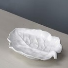 Beatriz Ball Vida Lettuce Leaf Platter  md 
