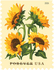  new  2026  Sunflowers  booklet Single  2026 Mint Nh -   after 03 14 26  