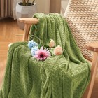 Sage Green Fleece Throw Blanket For Couch  Super Soft Flannel Blanket  Lightw   