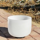 Trayaya 432hz C Note Root Chakra Frosted Crystal Singing Bowl 10   Sound Healing