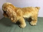 Vintage Steiff Cocker Spaniel Golden Blond Plush Dog 9    Ear Button Head Turns