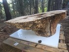 Birdseye Spalted Maple Burl Stump Base Coffee Table Epoxy Resin Hardwood 48x36