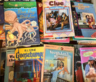 Random Lot Of 30 Kids Young Adults Vintage To Now Chapter Books 