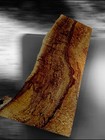 Xxl Mind Blowing Spalted Birdseye Maple  Stabilizing Wood Slab  Epoxy Wood Slab 