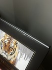 David Yarrow The Journey Never Ends Photography Coffee Table Picture Book Rare