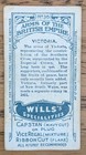 1910 Wills Cigarette Card Arms Of The British Empire -  36 Victoria 