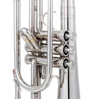 Aurosus Jms-611 Marching Mellophone F Key Yellow Brass Monel Valves Case