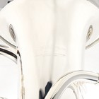 Willson Model 2950ta4 3t-s Compensating Euphonium With Trigger