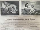 Ansco Film Vintage Print Ad 1944 Baby Cocker Spaniel War Bonds Wwii Era Large