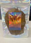 10 Pcs Large Indian Catappa Almond Leaves 5   For Betta  Shrimp  Axolotls   More