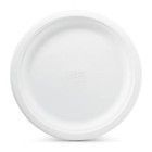 Classic Dinner Plate - 100ct