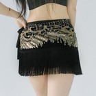 Belly Dance Sequin Hip Scarf Waist Belt Women Dancing Tassel Wrap Skirt Dress Up