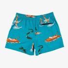Duvin Beach Club Drawstring Lined Board Shorts Ski Babes Swim Shorts Medium -nwt