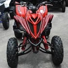 Red Black Yamaha Shock Covers Raptor Yfm 250 350 660r  special Edition   set 3 