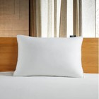 Serta 300 Thread Count White Down Fiber Bed Pillow-side Sleeper Jumbo 18 x34 x2 