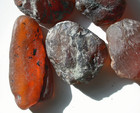 Nice Group Of Rough Burmese Burmite Amber Fossil Stones From Dinosaur Age 28 G