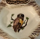 Vintage Owl Dish Treasure Craft Souvenir California Dish 7   Usa Nature Ashtray
