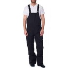 Alpine Swiss Mens Insulated Snow Bib Overalls Waterproof Ski Snowboard Pants