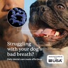 Petlab Co  Probright Dental Powder - Dog Breath Freshener 30 Scoops Exp 01 27