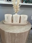 Rae Dunn Flourish Thrive Grow Ceramic Planter Set Of 3 With Tray